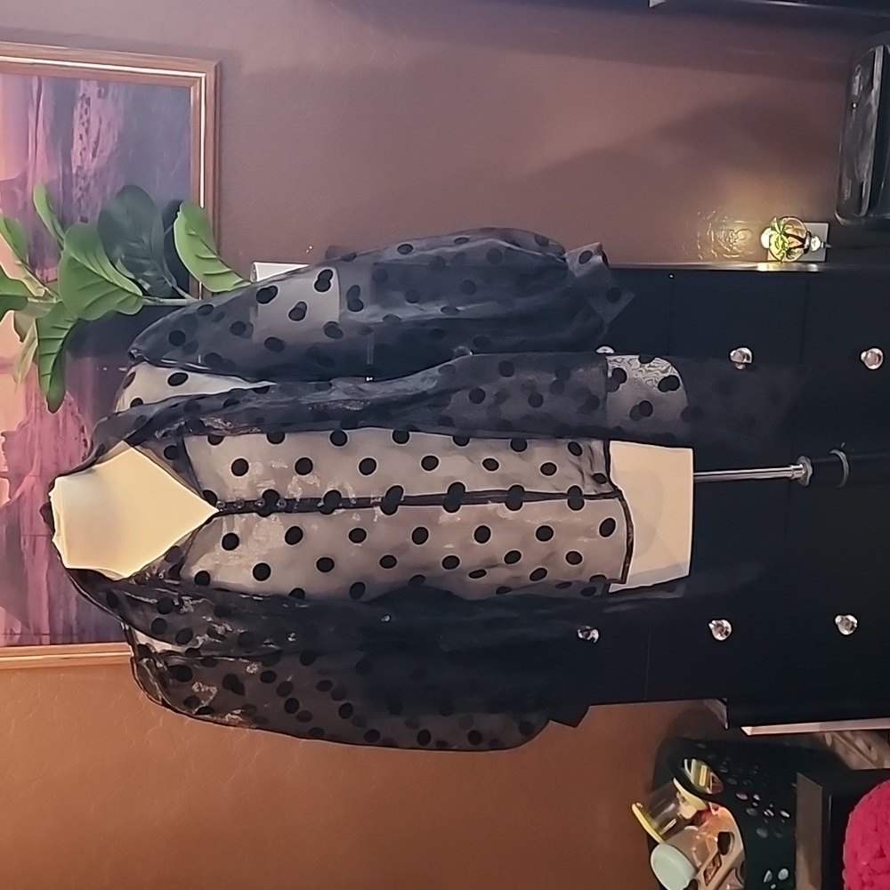 Love X Design Polkadot button up blouse. - Picture 2 of 6